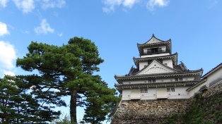 kouchi castle