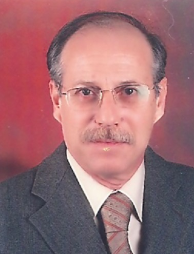Prof. Dr. Olcay Tünay