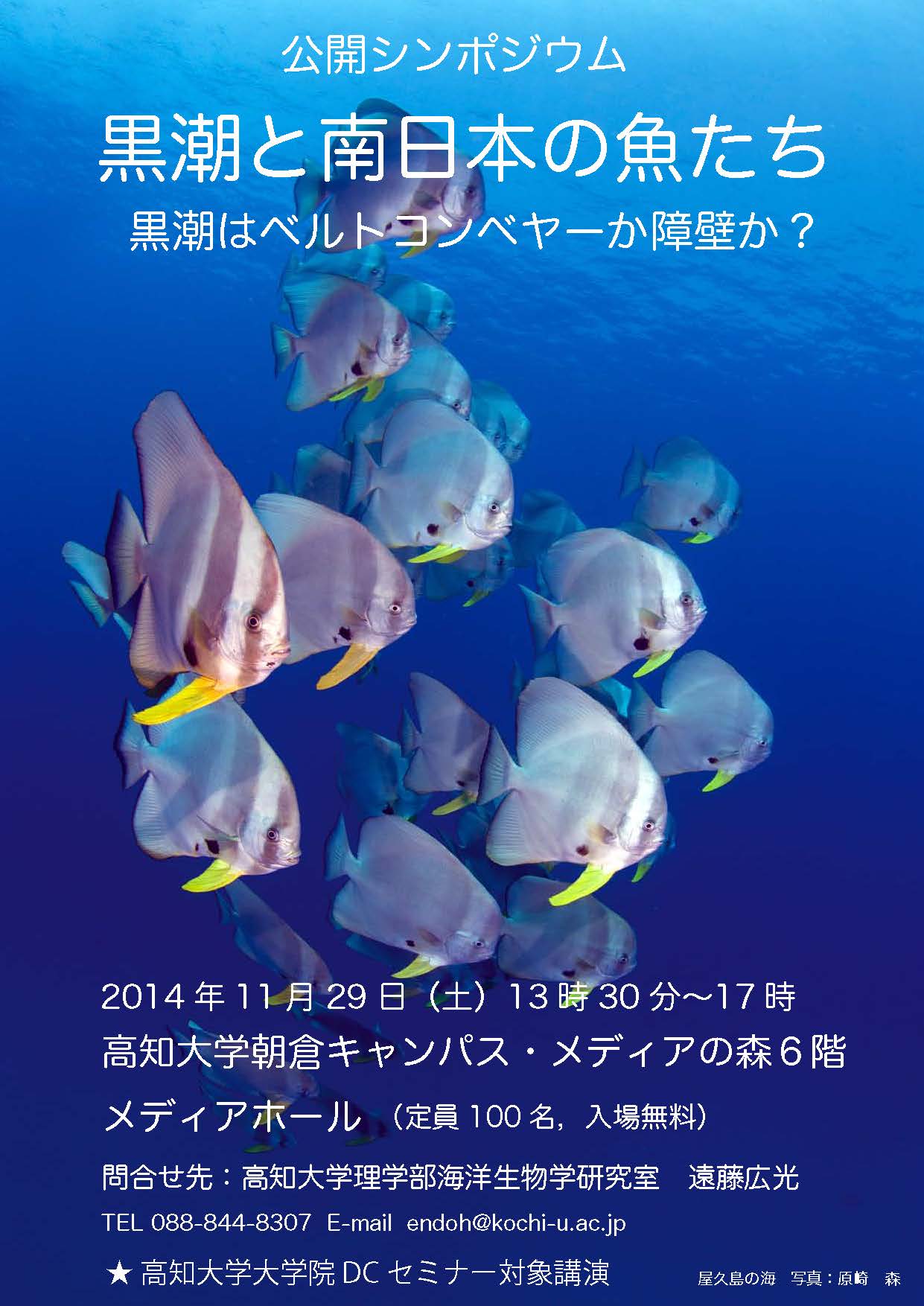 黒潮と南日本の魚たち