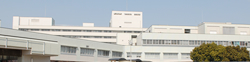 Kochi University Medical School