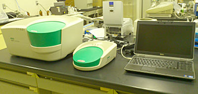 Digital PCR