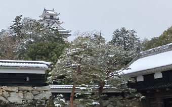 高知城の雪