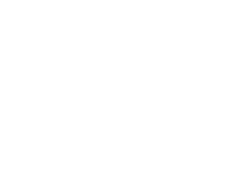 language icon