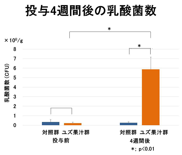 投与４週間後の乳酸菌数