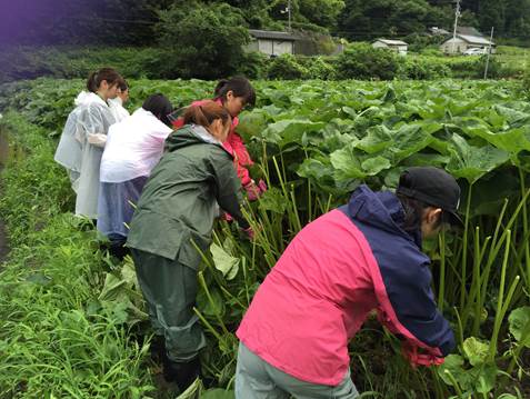 20160625_nishigawa_01