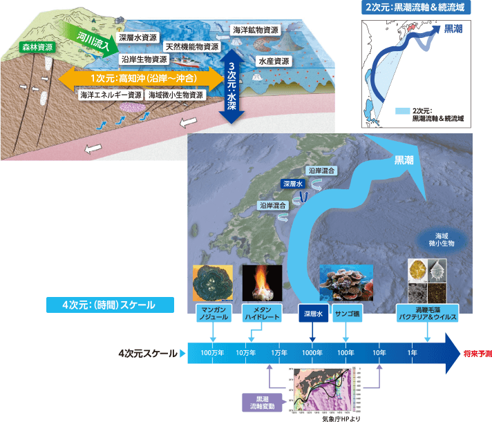 「4次元統合黒潮圏資源学」とは