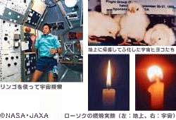 �F������