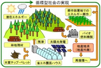 森林・農業系バイオマスの資源・エネルギー利用システムの構築