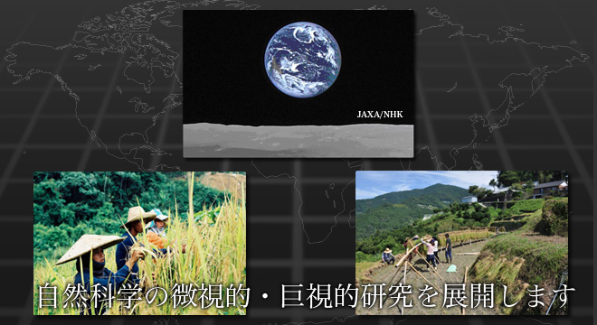 自然科学系