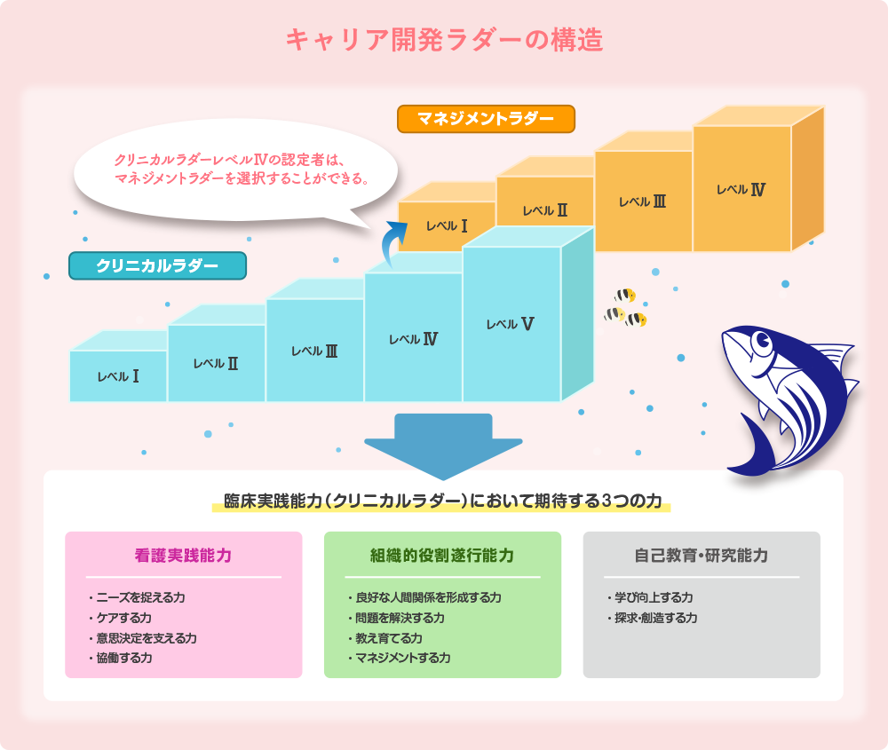 キャリア開発ラダーの構造