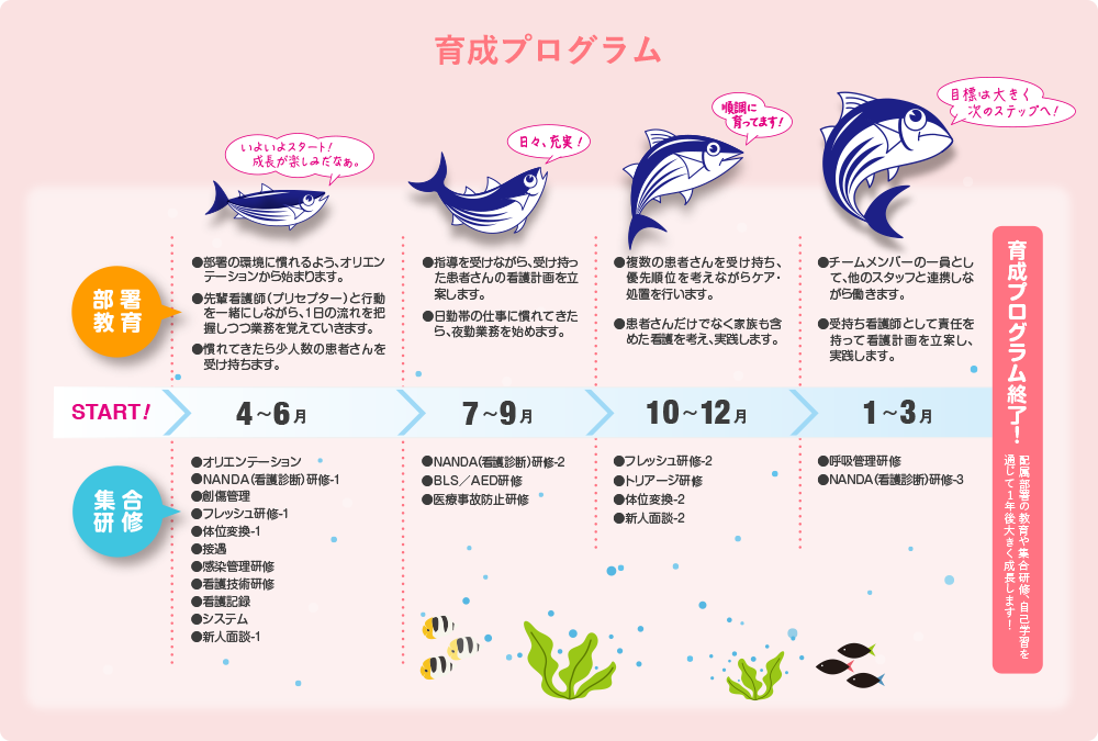 育成プログラム