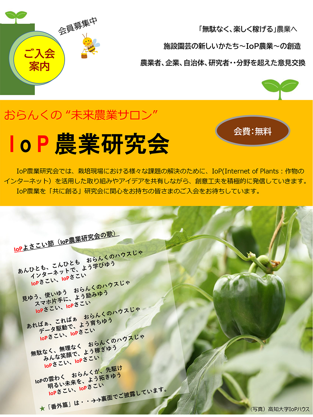 flier.jpg
