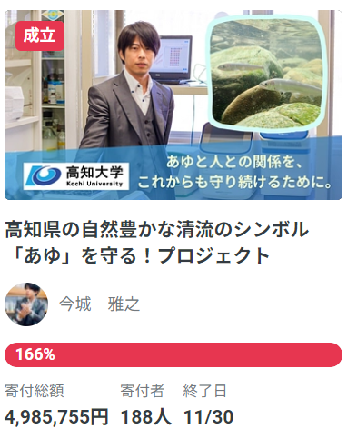 240206ayu.jpg