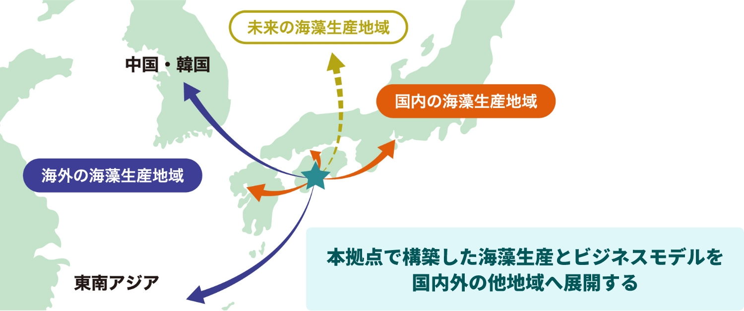 本拠点で構築した海藻生産とビジネスモデルを
国内外の他地域へ展開する