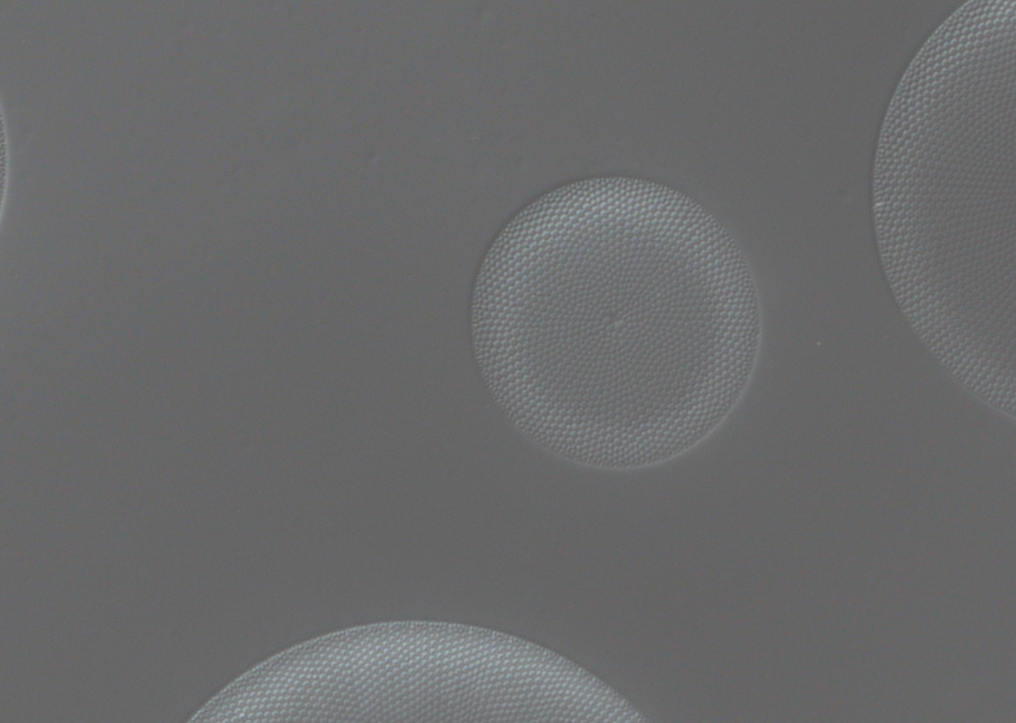 img20201123011236858258.png
