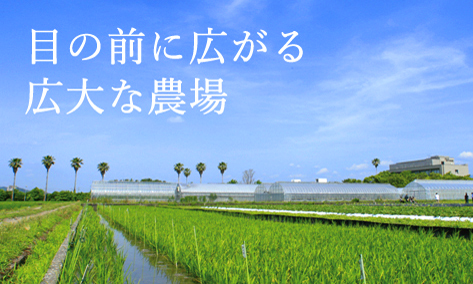 目の前に広がる広大な農場