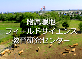 附属暖地フィールドサイエンス教育研究センター