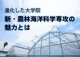 進化した大学院 新・農林海洋科学専攻の魅力とは