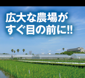 広大な農場がすぐ目の前に！！