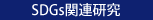 キーワード：SDGs関連研究