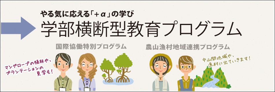 横断型教育プログラム