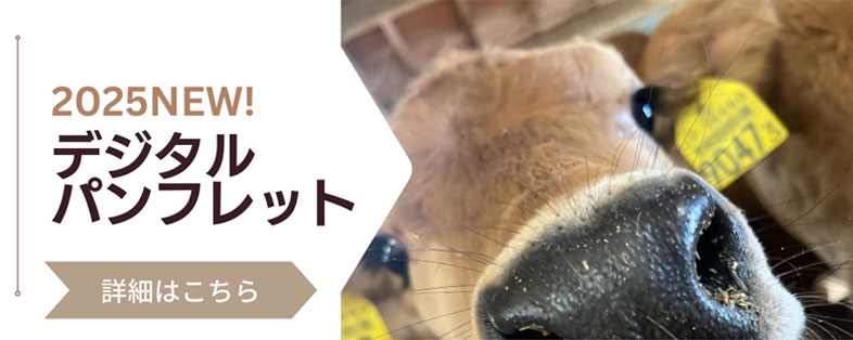 2025 デジタルパンフレット