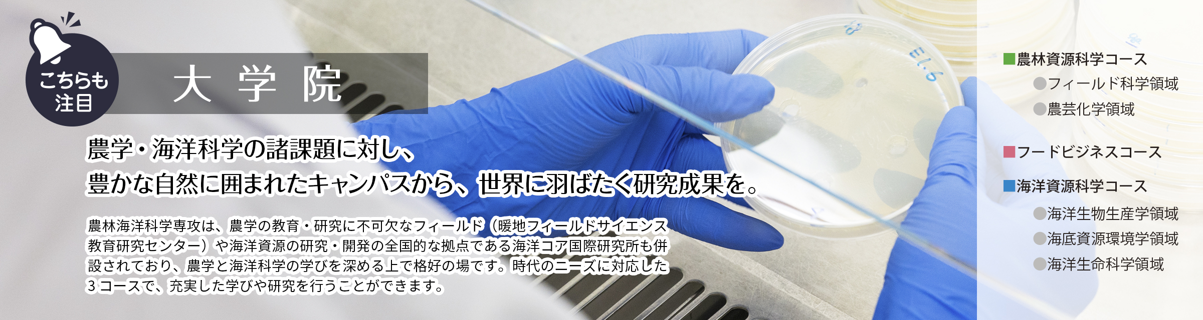 大学院ページへ