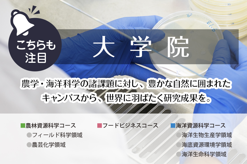 大学院ページへ