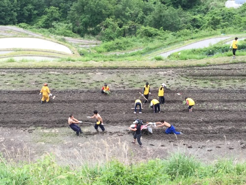 W500Q95_2015-05-23 10.15.41.jpg