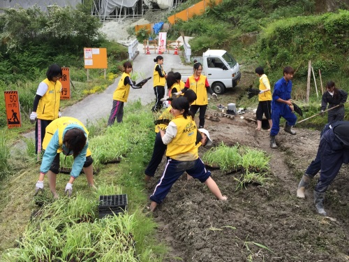 W500Q95_2015-05-23 14.03.23.jpg