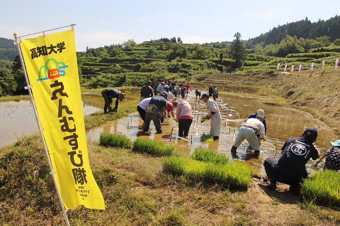 (4)20180603本山町田植え.JPG