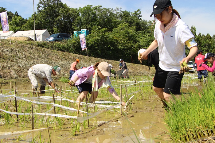 (5)20180603本山町田植え.JPG
