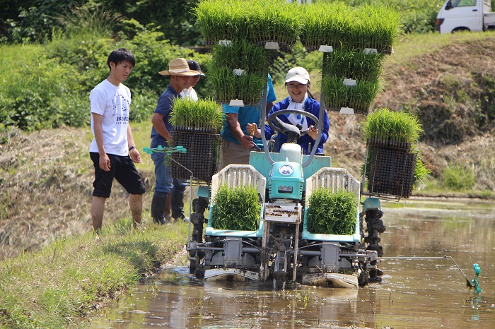 (7)20180603本山町田植え.JPG