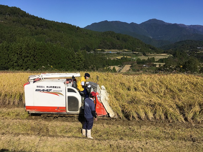 08本山町稲刈り