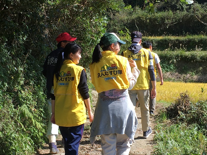 11本山町稲刈り