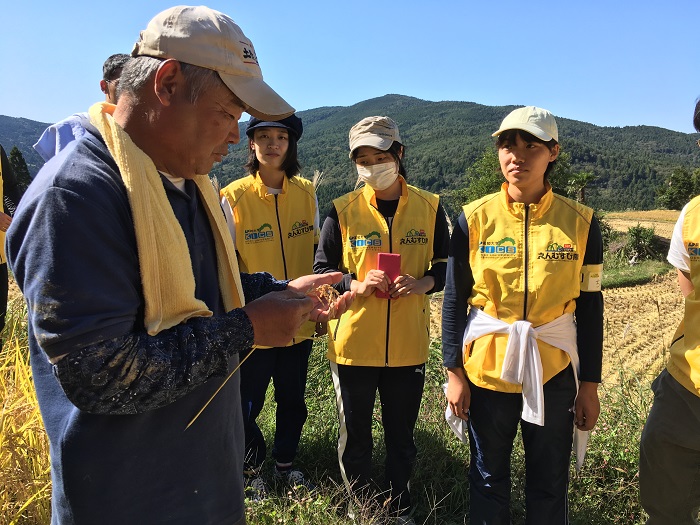14本山町稲刈り