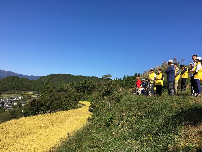 16本山町稲刈り