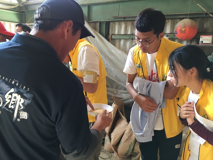 18本山町稲刈り