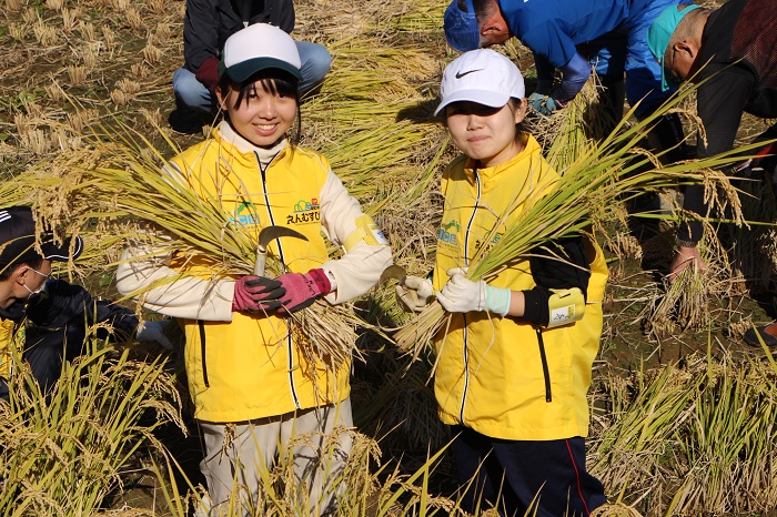 04本山町稲刈り
