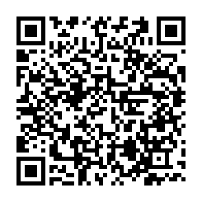 qr.png