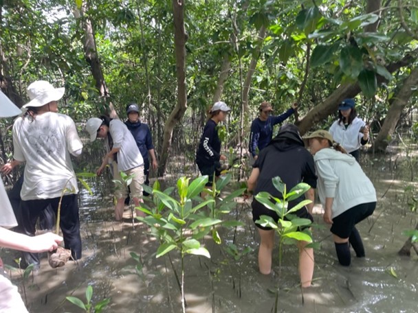 Klong Koneマングローブ林での植林活動