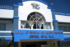 海外拠点（フィリピン）