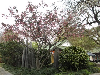 協定校―南京航空航天大学表敬訪問