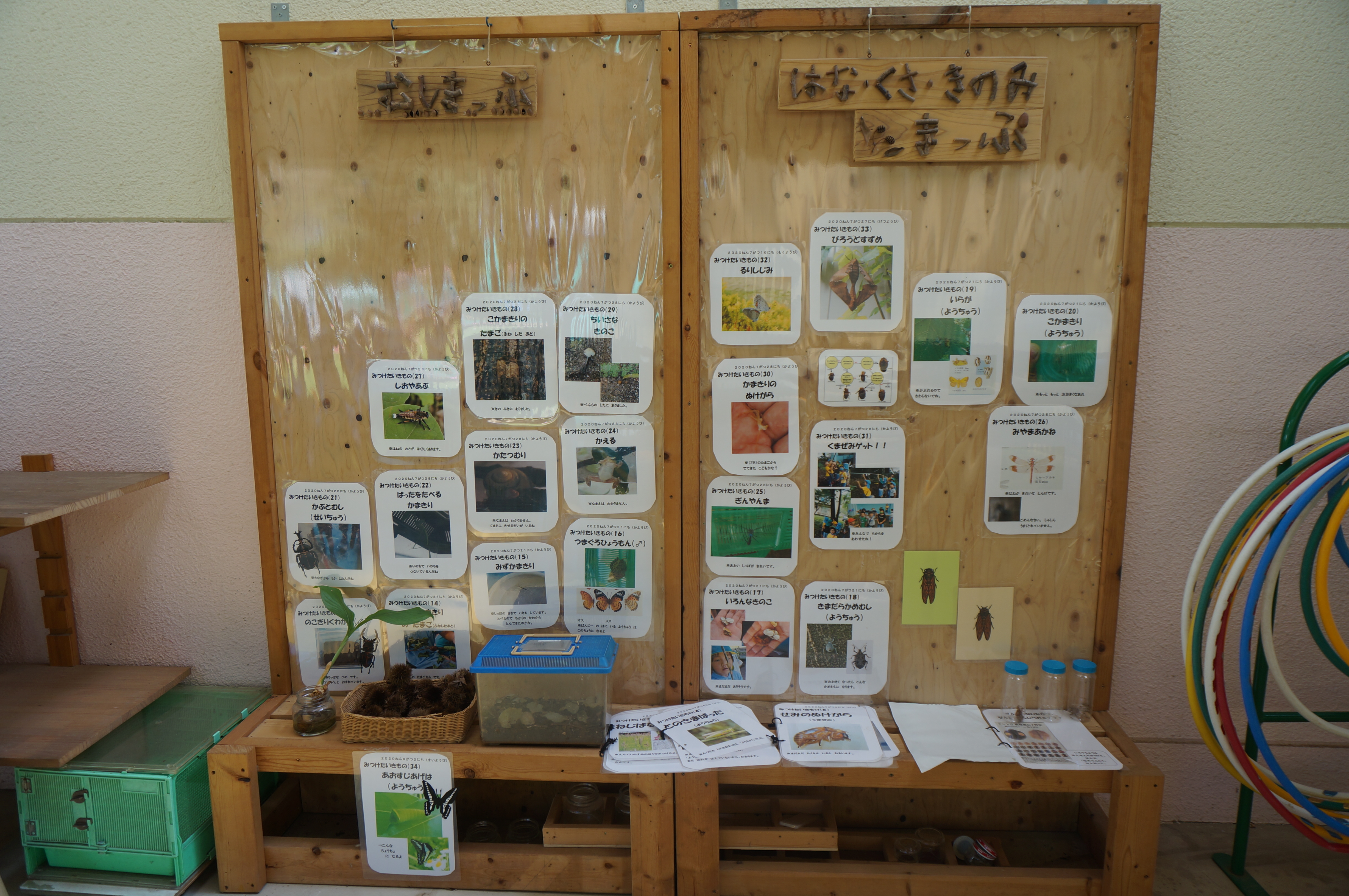 最近の様子 高知大学教育学部附属幼稚園