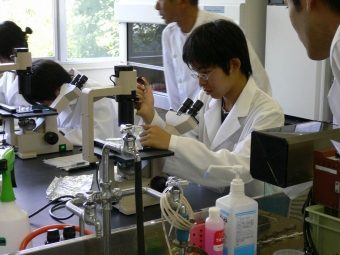 体外受精実施中(卵子培養液中に精子が上手く入ったか、先生の方が心配そう)