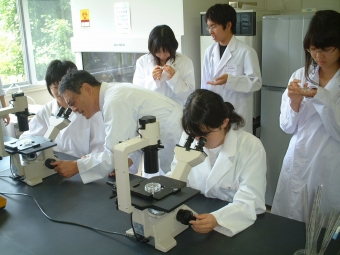 体外受精の結果を観察中(私の卵はうまく割れているかナー。早く観たいよ!)
