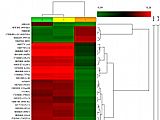 MicroArray