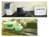 qRTPCR