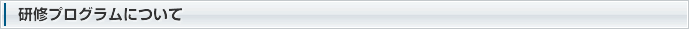 研修プログラムについて