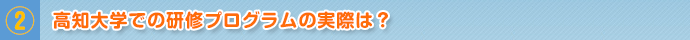 高知大学での研修プログラムの実際は？